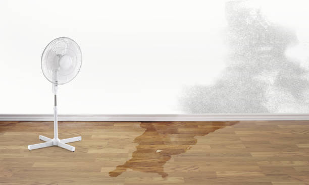 Sewage cleanup and water damage restoration in HI