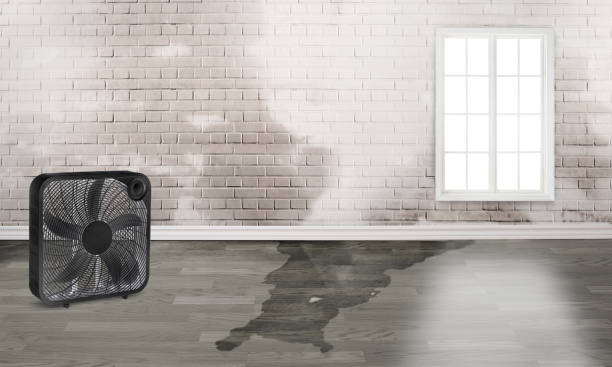 Reliable HI Water damage restoration Solutions