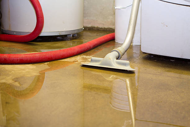 Best Water damage restoration mold remediation  in Hawaiian Beaches, HI