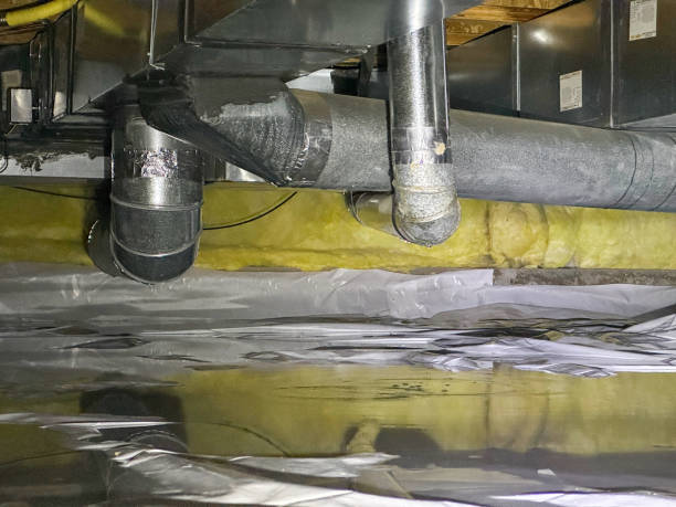 Best Water damage mitigation services  in Hawaiian Beaches, HI