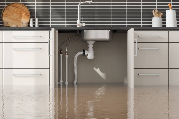  Hawaiian Beaches, HI Water damage restoration Pros