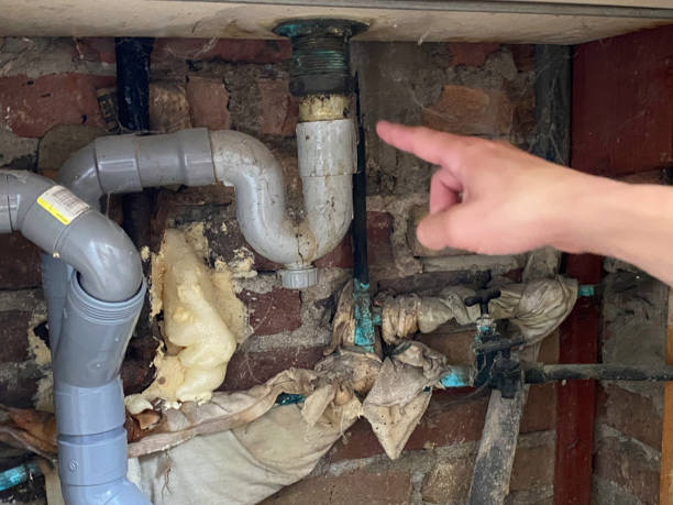Best Carpet water damage restoration  in Hawaiian Beaches, HI