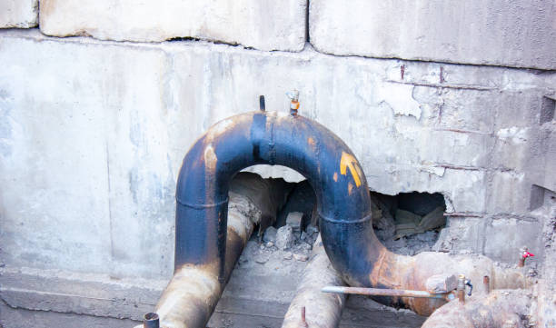 Best Professional water damage repair  in Hawaiian Beaches, HI