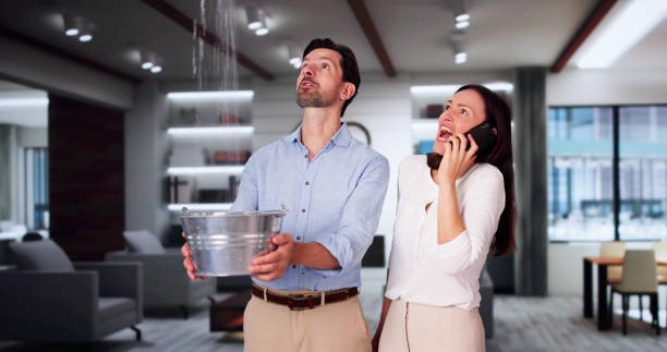 Best Carpet water damage restoration  in Hawaiian Beaches, HI