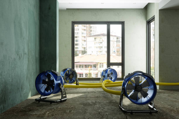 Trusted HI Water damage restoration Experts