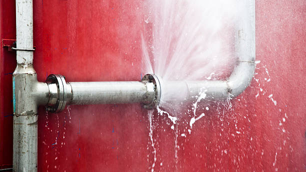 Best Mold removal after water damage  in Hawaiian Beaches, HI