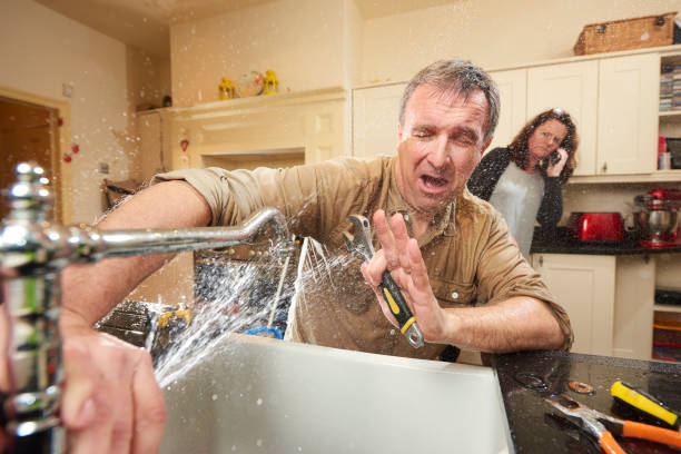Best Flood restoration services  in Hawaiian Beaches, HI